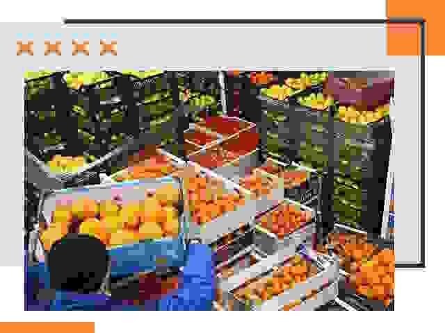 Перевозка скоропортящихся продуктов в Донецке